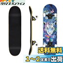 Nobuwileスケボー 子供 初心者 小学生 キッズ スケートボード コンプリート 31×8インチ スケボーデッキ 完成品 skateboard 7層カナディ...
