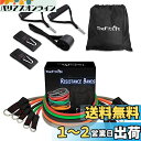 TheFitLife トレーニングチューブ チューブ トレーニング 筋トレチューブ (赤/緑/黒/橙/灰)