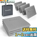 Rondofy ヨガマット 折りたたみ 6mm トレーニングマット 折り畳み 持ち運びに便利 エクササイズマット フィットネス ピラティス ヨガマット 人気 収納袋付き (グレー)