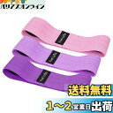 TheFitLife ヒップバンド 美尻 高耐久 トレーニングチューブ ストレッチ 内転筋 レジスタンスバンド トレーニング器具 エクササイズ 肌に優しい 筋ト...