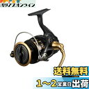 ダイワ(DAIWA) スピニングリール 23BG SW 6000D-P