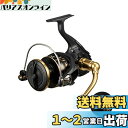ダイワ(DAIWA) スピニングリール 23BG SW 8000-P