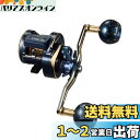ダイワ(DAIWA) カウンター付キオフショアベイトリール ソルティガIC 100HL-DH