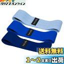 TheFitLife ヒップバンド 美尻 高耐久 トレーニングチューブ ストレッチ 内転筋 レジスタンスバンド トレーニング器具 エクササイズ 肌に優しい 筋トレ 軽量 フィットネス ヒップアップ ?力? 持ち運びやすい (ベビーブルー/ブルー/ネイビーブルー)
