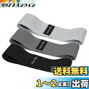 TheFitLife ヒップバンド 美尻 高耐久 トレーニングチューブ ストレッチ 内転筋 レジスタンスバンド トレーニング器具 エクササイズ 肌に優しい 筋トレ 軽量 フィットネス ヒップアップ ?力? 持ち運びやすい (ライトグレー/グレー/ブラック)