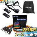 TheFitLife トレーニングチューブ チューブ トレーニング 筋トレチューブ (青/緑/赤/黒/橙)