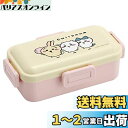 スケーター(Skater) 弁当箱 ちいかわ 530ml 抗菌 ふんわり盛れる ドーム型フタ 女性用 日本製 PFLB6AG-A