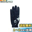 BRIDGESTONE(ブリヂストン) ゴルフグローブ STRONG DUAL GLG21 メンズ