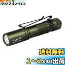 ACEBEAM Pokelit AA 懐中電灯 小型 軽量 強力 550ルーメン単三 3段階調光 高演色性 Ra90 IP68防水 最大9日の実行時間 安定した...