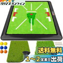 SAPLIZE セープライズ3-in-1交換式ゴルフ打撃練習マット 加重ベース フェアウェイ/ラフ/スイング痕跡分析マットドライビング・チッピング・スイング動作...