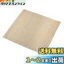 キャプテンスタッグ(CAPTAIN STAG) 焚き火台シート 焚火シート 80×80cm 耐熱温度700度 グラスファイバー製 UG-3300 ベージュ