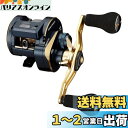 ダイワ(DAIWA) 21 ソルティガIC 100PL-DH