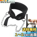 Smilerain 懸垂 ベルト 加重ベルト ディプスベルト ディッピングベルト トレーニングベルト 耐久性 付け心地が良い チェーンの長さ調節できる 丈夫で使...