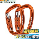 カラビナ 12KN オートロック式 BRAVESHINE 耐荷重1200kg ロックカラビナ Dリング 軽量 ハンモック タープ キャンプ用 荷物のフック 犬のリード用 多機能 2個セット (オレンジ2個)