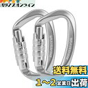 カラビナ 12KN オートロック式 BRAVESHINE 耐荷重1200kg ロックカラビナ Dリング 軽量 ハンモック タープ キャンプ用 荷物のフック 犬のリード用 多機能 2個セット