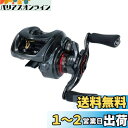 ダイワ(DAIWA) ベイトリール 19 スティーズ CT SV TW 700SHL(2019モデル)