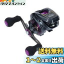 ダイワ(DAIWA) LIGHT SW X IC R カウンター付ベイトリール