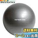 キャプテンスタッグ(CAPTAIN STAG) エクササイズ フィットネス 体幹トレーニング フィットネスボール Φ65cm シルバーホワイト Vit Fit UR-863