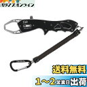 ダイワ(DAIWA) フィッシュグリップV 170 ブラック