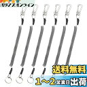 Booms Fishing T4 スパイラルコード ワイヤー入り尻手ロープ (6個 ブラック)
