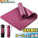 Reodoeer ヨガマット トレーニングマット エクササイズマット 収納バンド 収納バッグ付き 厚さ10mm (ワイン)