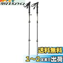 キャプテンスタッグ(CAPTAIN STAG) トレッキングポール トレッキングステッキ 2本組 ベントグリップ 3段クイックロック式 ブラック FEEL BO...