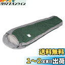 キャプテンスタッグ アクティブ キッズ マミー 300 (グリーン) M-3446