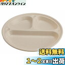 キャプテンスタッグ BBQ用 皿セット 抗菌仕切付プレート 21cm 5枚組M-9517
