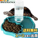 IKENOKOI爬虫類 食器 自動給水 餌入れ 水入れ 亀/トカゲ/蛇/やもりなど爬虫類専用(ブルー)