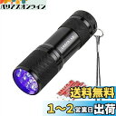 Lepro ブラックライト led uvライト 紫外線ライト UVライト レジン用 硬化ライト 紫外線 ライト IPX4防水 アルミ製 高耐久 ハンディ ブラッ...