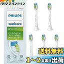 【送料無料】フィリップス 替えブラシ ソニッケアー ホワイトプラスレギュラー (5本) 正規品 WC HX6065/67 ホワイト
