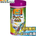 テトラ (Tetra) ジャングルグッピー 70g 熱帯魚 餌 フード