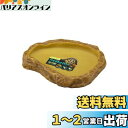 EXO TERRA (エキゾテラ) フィーディングディッシュS PT2811 爬虫類用 えさ皿 自然の岩イメージ ひっくり返しにくい W14.5×D10×H2.3cm