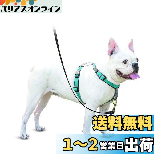PetSafe 3in1ハーネス 引っ張り防止 調整簡単 抜けない 犬 ハーネス S ティール（グリーン）