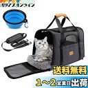 Morpilot ペットキャリー バッグ 4way ショルダー 中・大型猫・小型犬・うさぎ用 リュック 折りたたみ 変形しない 通気性 臭気がない 引っ掻き傷に強い 車載/ドライブ/キャンピング/旅行/通院/災害避難用 ペットバッグ (マット/飛び出し防止リード/猫食器付き) Mサイズ
