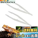 給餌ピンセット プラスチック 2本セット 蜥蜴 カエル 爬虫類 両生類 餌やり ピンセット 18cm 夜光 ペット用品