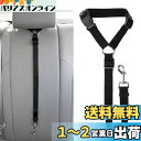 MKUTO ペット 犬用 猫 シートベルト ドライブ 車専用リード 安全ベルト 飛びつく防止 簡単装着(1本セット)