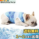 Hakona 犬服 夏 クール ひんやり 冷感ベスト ブルー 冷却ベスト メッシュ 夏服 薄手 涼しい 吸水速乾 超軽量 熱中症対策 暑さ対策グッズ 日焼き防ぐ お出かけ お散歩 クーリングスーツ 小中型犬用 猫用 M