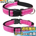 THAIN 犬 首輪 犬の首輪 小型、中型、大型犬用首輪 子犬 首輪 軽量 ペット用品 反射材料 ナイロン製 通気性 弾力性 柔らかい 調節可能 (S, ホトピンク)