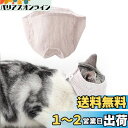 Newsmy ネコメット 猫用マスク 目隠しスタイル 噛みつき防止 拾い食 い防止 爪切り補助用 (M)