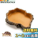 Hitasi 爬虫類両生類飼育ケースアクセサリーお皿 お盆 食器 餌入り水入り 樹脂 ウォーターディッシュ ジェックス フィーディングディッシュ 亀 ヤモリ 水槽 給餌ボウル 爬虫類専用 綺麗で安定 使い易い 飼育ケース内装 爬虫類用品 XS