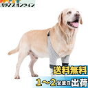 Botocoo 犬用 リハビリ 用品 犬用 犬用 リハビリ 犬用関節プロテクター 膝サポーター ペットサポーター犬ソックス 柔らかいペット用レッグウォーマー 犬の介護用品 小型犬 中型 大型犬 サポーター 足首 関節 プロテクター S