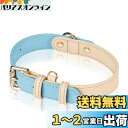 AKAGIICHI 犬 首輪 革 犬の首輪 小型、中型、大型犬用首輪 本革製 犬用ベーシック首輪 調節可能 ペットの首輪(サイズS,M,L) (L, ブルー)