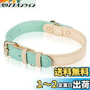 AKAGIICHI 犬 首輪 革 犬の首輪 小型、中型、大型犬用首輪 本革製 犬用ベーシック首輪 調節可能 ペットの首輪(サイズS,M,L) (M, グリーン)