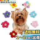 Hitasi ペットヘアピン 犬 猫用髪飾り ペット用ヘアクリップ 8枚セット ヘアボールヘアピン ペット用 前髪クリップ 可愛い 花 着脱簡単 雰囲気 飾るク...
