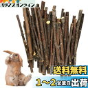 LIKENNY りんご枝 りんごの木 リーフ 小動物 おやつ かじり木 噛むおもちゃ 歯を磨く 無添加 無着色 安心 うさぎ おもちゃ 天然 極細枝 モルモット ケージ リス 餌 チンチラ ストレス解消(100g)(3)