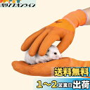 Hitasi ペットグローブ ハムスター咬傷防止手袋 噛みつき 引っかき 厚い安全手袋 保護手袋 給餌手袋 耐摩耗性 耐熱性 滑り止め狩猟用品 犬 猫 爬虫類 園芸 作業用 1 ペア