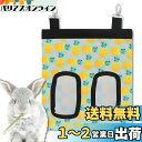 solunaterra チモシー入れ 牧草フィーダー 牧草入れ うさぎ 餌入れ モルモット チンチラ デグー (パイン柄)