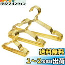DIZLAS ペットハンガー 犬 猫 ペット用品 ペット服 ゴールド 10本 Sサイズ(15cm)
