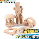 【送料無料】Baby Firstlook 木製ラトル 手押し車 5点セット ガラガラ 赤ちゃん おもちゃ 可愛い音がする 木のおもちゃ 赤ちゃん 子供 プレゼン...
